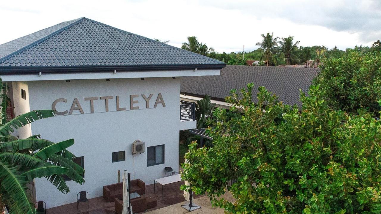 Bohol Cattleya Resort Panglao Exterior photo